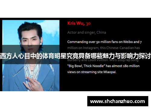 西方人心目中的体育明星究竟具备哪些魅力与影响力探讨